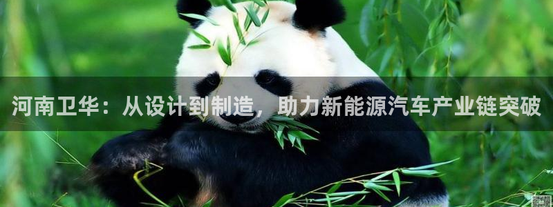 龙八国际客户端pt