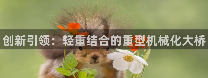 龙八国际平台首页