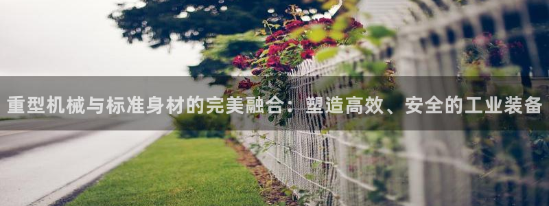 龙八国际娱乐游戏