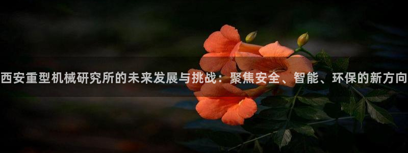 龙八国际平台安卓