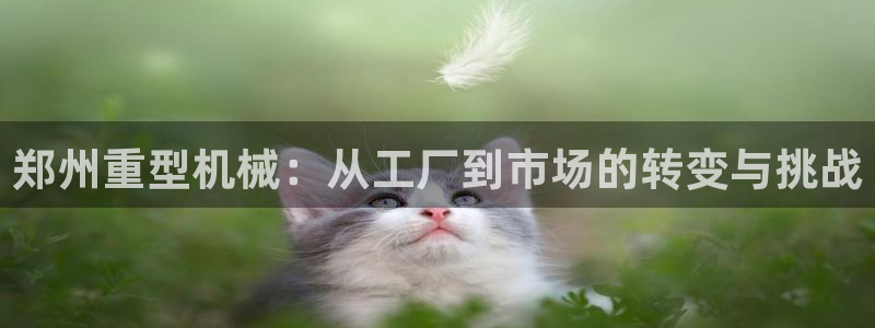 龙八国际手机下载