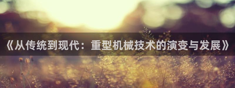 龙八国际网页版