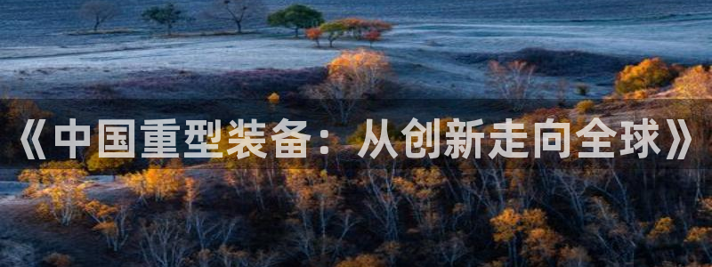 龙八国际手机版入口