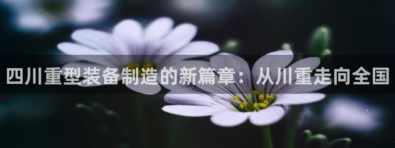 手机版龙八国际服客服