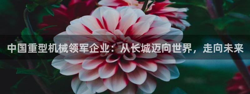 龙八国际客户端pt