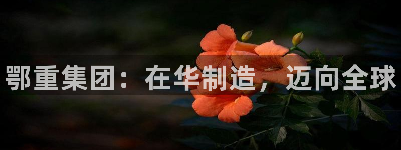 龙八国际娱乐网页多少