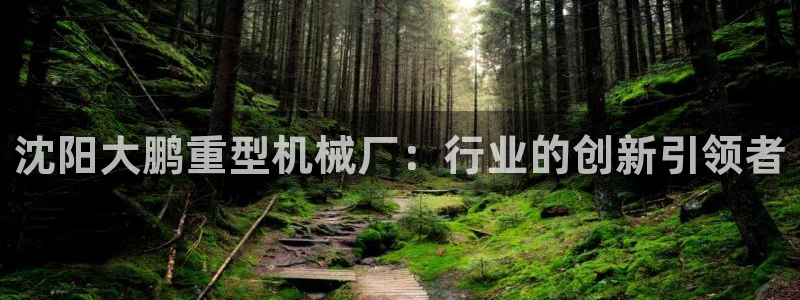 龙八国际娯乐城软件下载