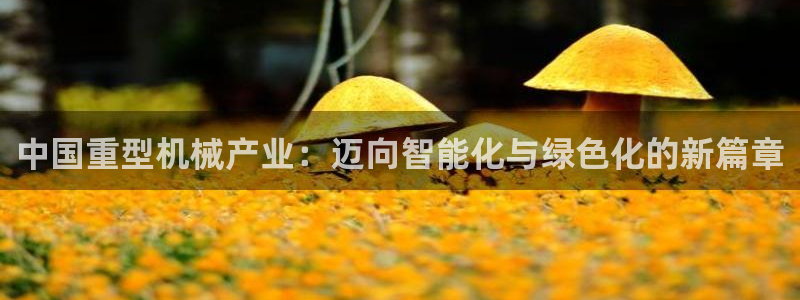 龙八国际娱乐官网下载