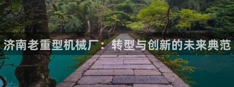 国际龙八国集团