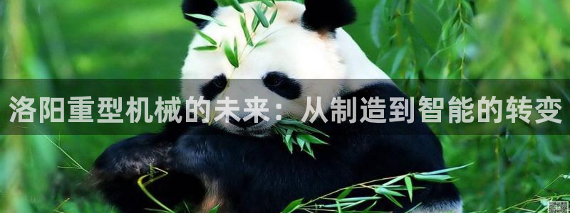 龙八国际手机客户端下载app