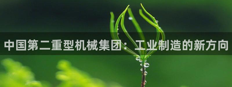 龙八国际城网站