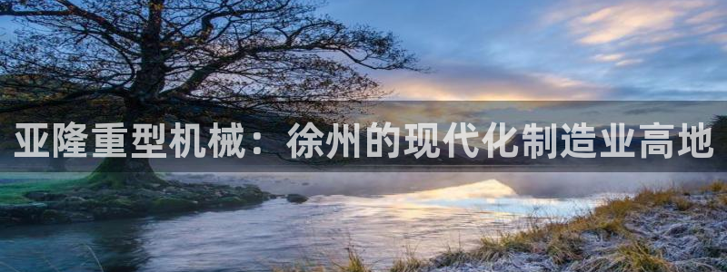 国际龙八国集团