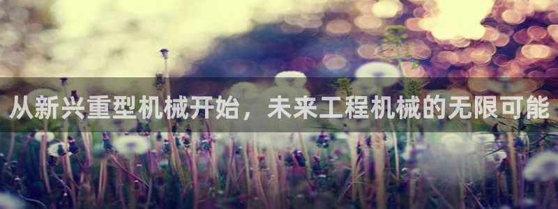 龙八国际娱乐地