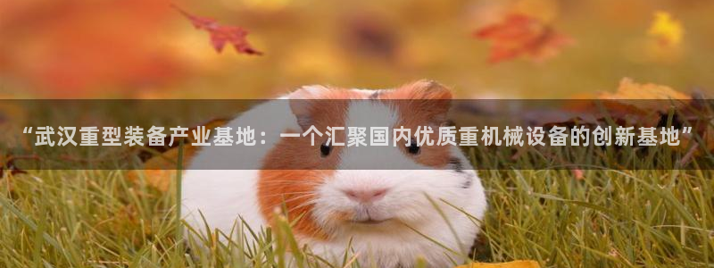 龙八国际头号玩家下截