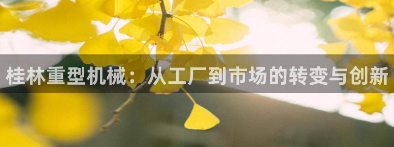 龙八国际娱乐App客户端下载