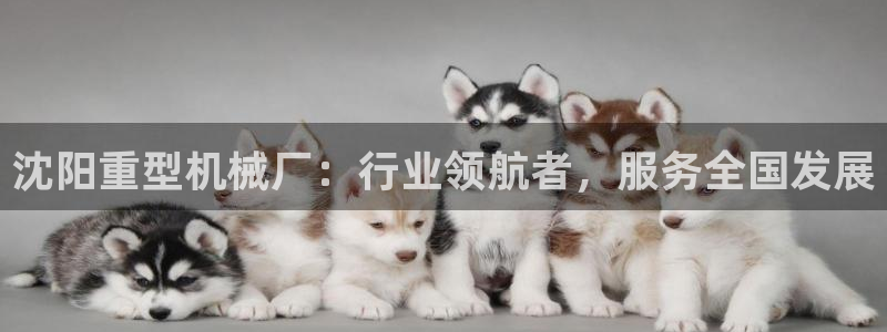 龙八国际网页long8868