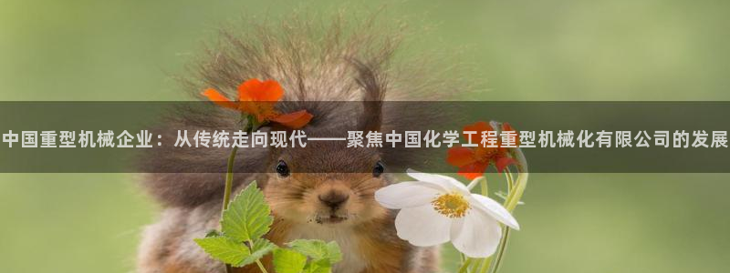 www.龙八国际