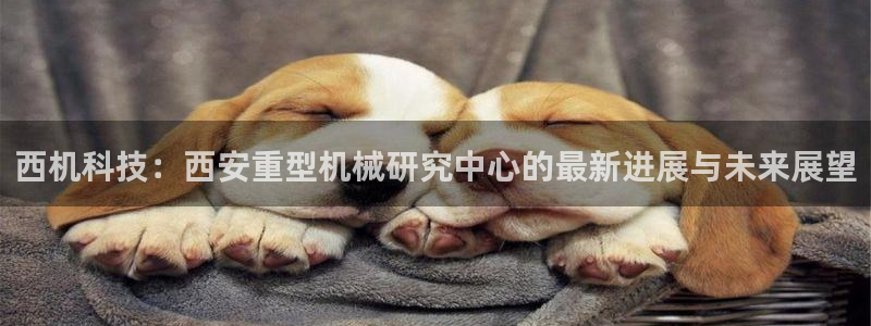 龙八国际app骗局