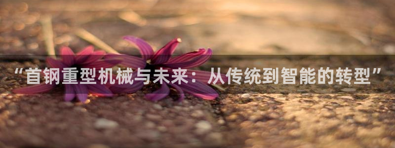 龙八国际娱乐场