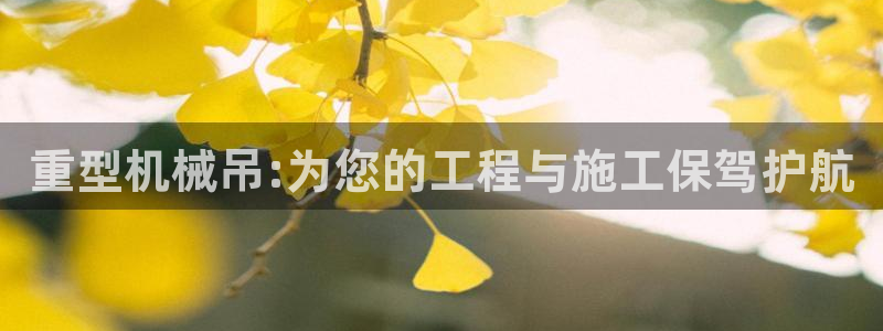 龙八国际网址视讯平台