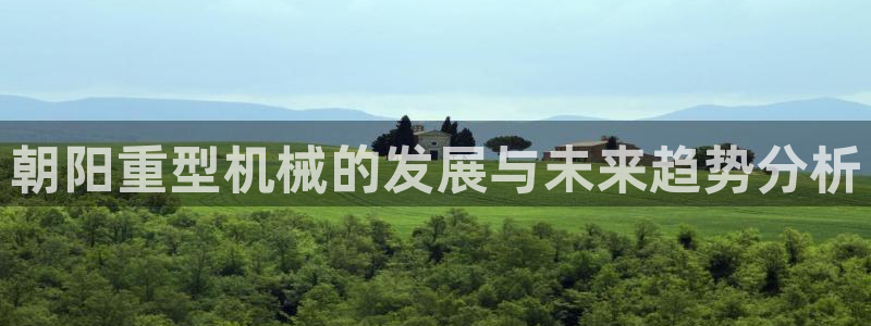 龙八国际股票