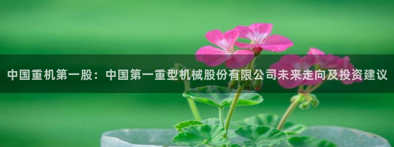 龙八国际手机版下载地址