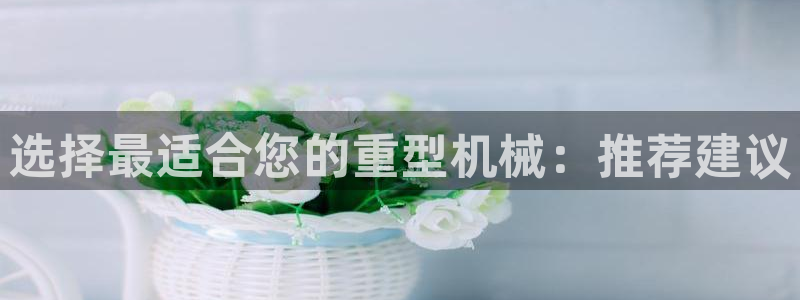 龙八国际APP客户