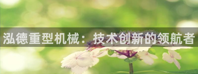 龙八国际网站登录