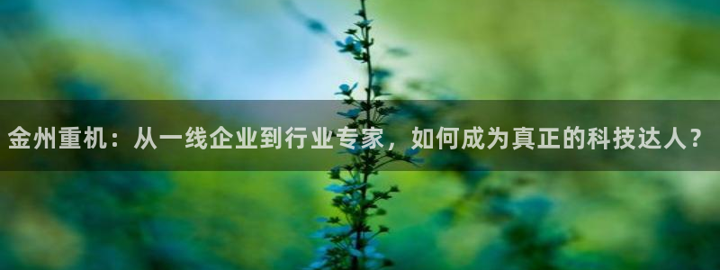 龙八国际apPP