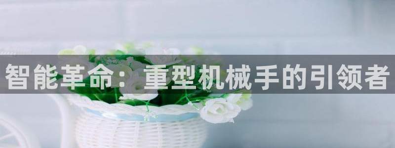 龙八国际娱乐下载