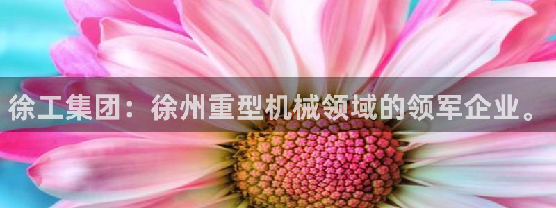 龙八国际棋牌官方网站