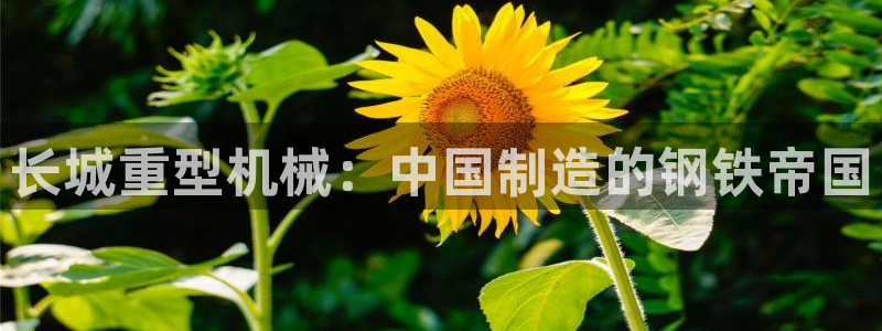 龙八国际平台首页