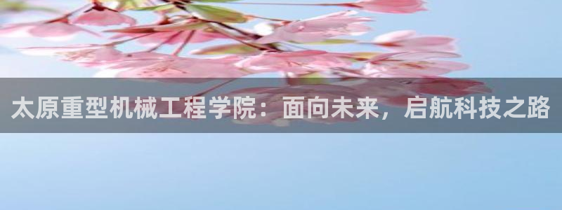 龙八国际APP官方版